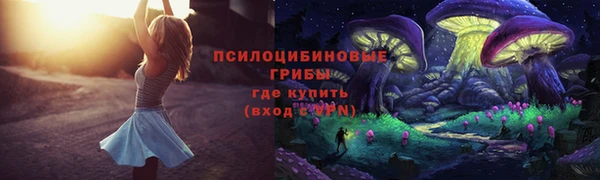 альфа пвп Дмитровск