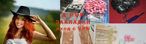 мет Дмитров