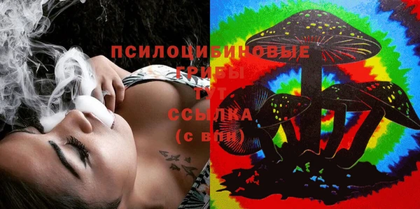 кокс Дмитриев