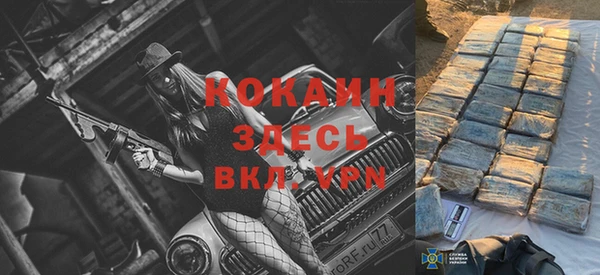 кокс Дмитриев