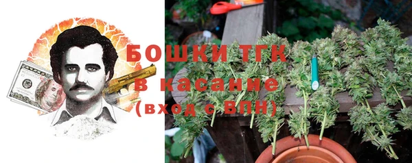 мет Дмитров