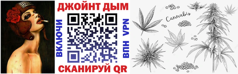 Марихуана сатива  магазин    shop официальный сайт  Дзержинск 